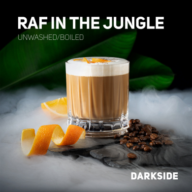 Darkside Core - Raf in the Jungle (    ) 30 .