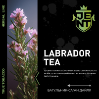 JENT HERB - Labrador tea (  -  ) 30 .