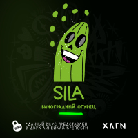 Hooligan - SILA (  ) 25 .