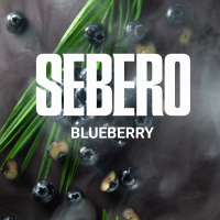 Sebero Classic - Blueberry ( ) 100 .