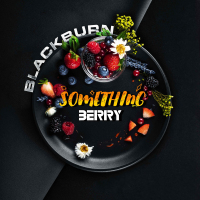 Black Burn - Something Berry (  - ) 200 .